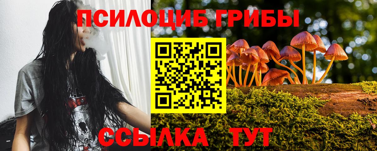 Галлюциногенные грибы мицелий Геленджик
