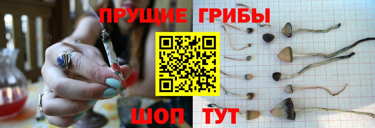 Псилоцибиновые грибы ЛСД  Вход с VPN  Геленджик 